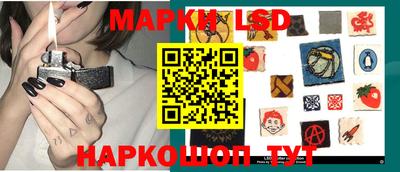 индика Обнинск