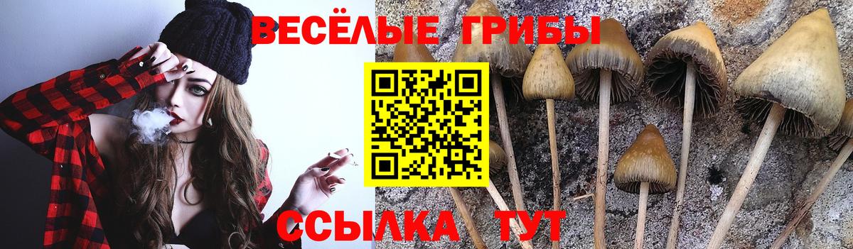 Галлюциногенные грибы Psilocybine cubensis  Вход с VPN  Тобольск 